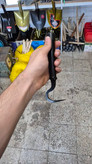 سُم پاک کن فولادی